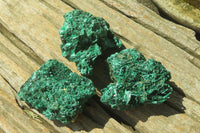 Natural Silky Malachite Specimens x 12 From Kasompe, Congo