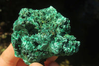 Natural Silky Malachite Specimens x 12 From Kasompe, Congo