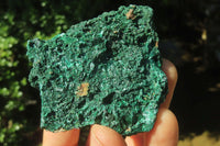 Natural Silky Malachite Specimens x 12 From Kasompe, Congo