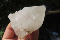 Natural Spirit Quartz Clusters x 24 From Boekenhouthoek, South Africa