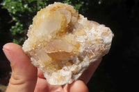 Natural Spirit Quartz Clusters x 24 From Boekenhouthoek, South Africa