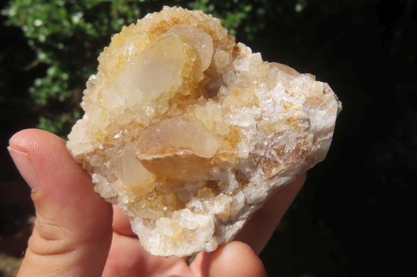 Natural Spirit Quartz Clusters x 24 From Boekenhouthoek, South Africa