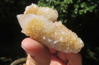 Natural Spirit Quartz Clusters x 24 From Boekenhouthoek, South Africa