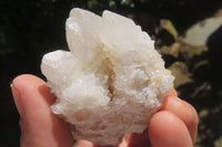 Natural Spirit Quartz Clusters x 24 From Boekenhouthoek, South Africa