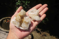 Natural Spirit Quartz Clusters x 24 From Boekenhouthoek, South Africa