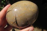 Polished Medium Septerye Sauvage "Dragons" Eggs - Sold Per Item - From Madagascar