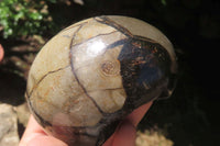 Polished Medium Septerye Sauvage "Dragons" Eggs - Sold Per Item - From Madagascar