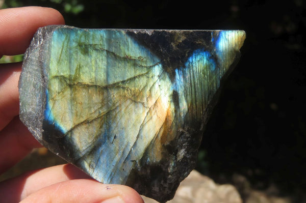 Polished On One Side Labradorite x 12 From Tulear, Madagascar