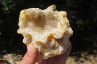 Natural Limonite Quartz Clusters x 6 From Solwezi, Zambia