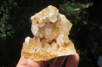 Natural Limonite Quartz Clusters x 6 From Solwezi, Zambia