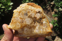 Natural Limonite Quartz Clusters x 6 From Solwezi, Zambia