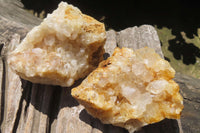 Natural Limonite Quartz Clusters x 6 From Solwezi, Zambia