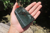 Polished Bloodstone Points x 3 From Swaziland