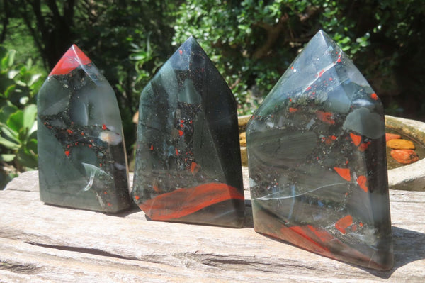 Polished Bloodstone Points x 3 From Swaziland