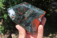 Polished Bloodstone Points x 3 From Swaziland