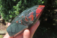 Polished Bloodstone Points x 3 From Swaziland