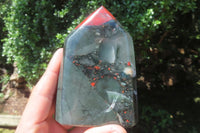 Polished Bloodstone Points x 3 From Swaziland