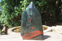 Polished Bloodstone Points x 3 From Swaziland