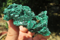 Natural Silky Malachite Specimens x 6 From Kasompe, Congo