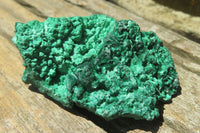 Natural Silky Malachite Specimens x 6 From Kasompe, Congo