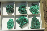 Natural Silky Malachite Specimens x 6 From Kasompe, Congo