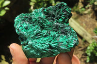 Natural Silky Malachite Specimens x 6 From Kasompe, Congo