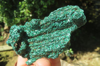 Natural Silky Malachite Specimens x 6 From Kasompe, Congo