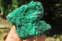 Natural Silky Malachite Specimens x 6 From Kasompe, Congo