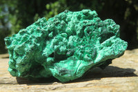 Natural Silky Malachite Specimens x 6 From Kasompe, Congo