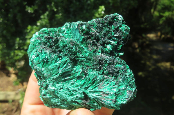 Natural Silky Malachite Specimens x 6 From Kasompe, Congo