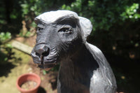 Hand Made Soapstone Honey Badger Carving x 1 From Zimbabwe