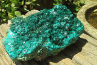 Natural Dioptase Cabinet Specimen x 1 From Reneville Brazzaville, Congo