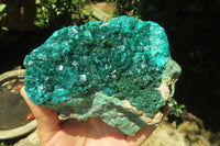 Natural Dioptase Cabinet Specimen x 1 From Reneville Brazzaville, Congo