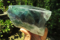 Polished On One Side Watermelon Fluorite x 3 From Namibia