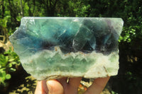 Polished On One Side Watermelon Fluorite x 3 From Namibia