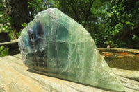 Polished On One Side Watermelon Fluorite x 3 From Namibia