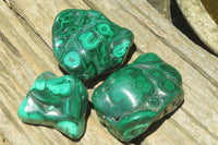 Polished Flower Banded Malachite Free Forms x 3 From Congo