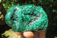 Polished Flower Banded Malachite Free Forms x 3 From Congo