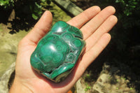 Polished Flower Banded Malachite Free Forms x 3 From Congo