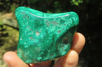 Polished Flower Banded Malachite Free Forms x 3 From Congo