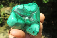 Polished Flower Banded Malachite Free Forms x 3 From Congo