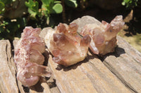 Natural Red Hematoid Quartz Clusters x 12 From Zimbabwe