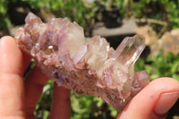 Natural Red Hematoid Quartz Clusters x 12 From Zimbabwe