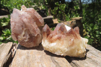 Natural Red Hematoid Quartz Clusters x 12 From Zimbabwe