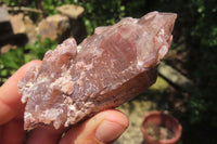 Natural Red Hematoid Quartz Clusters x 12 From Zimbabwe