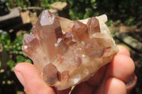 Natural Red Hematoid Quartz Clusters x 12 From Zimbabwe