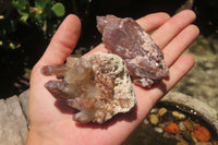 Natural Red Hematoid Quartz Clusters x 12 From Zimbabwe