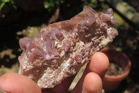 Natural Red Hematoid Quartz Clusters x 12 From Zimbabwe