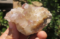 Natural Red Hematoid Quartz Clusters x 12 From Zimbabwe