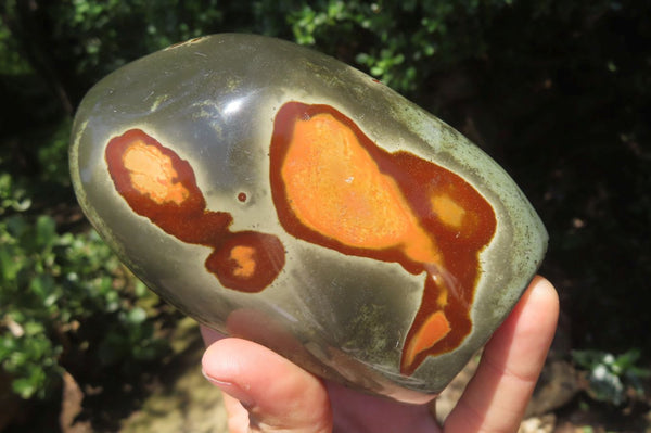 Polished Polychrome Jasper Standing Free Forms x 3 From Mahajanga, Madagascar